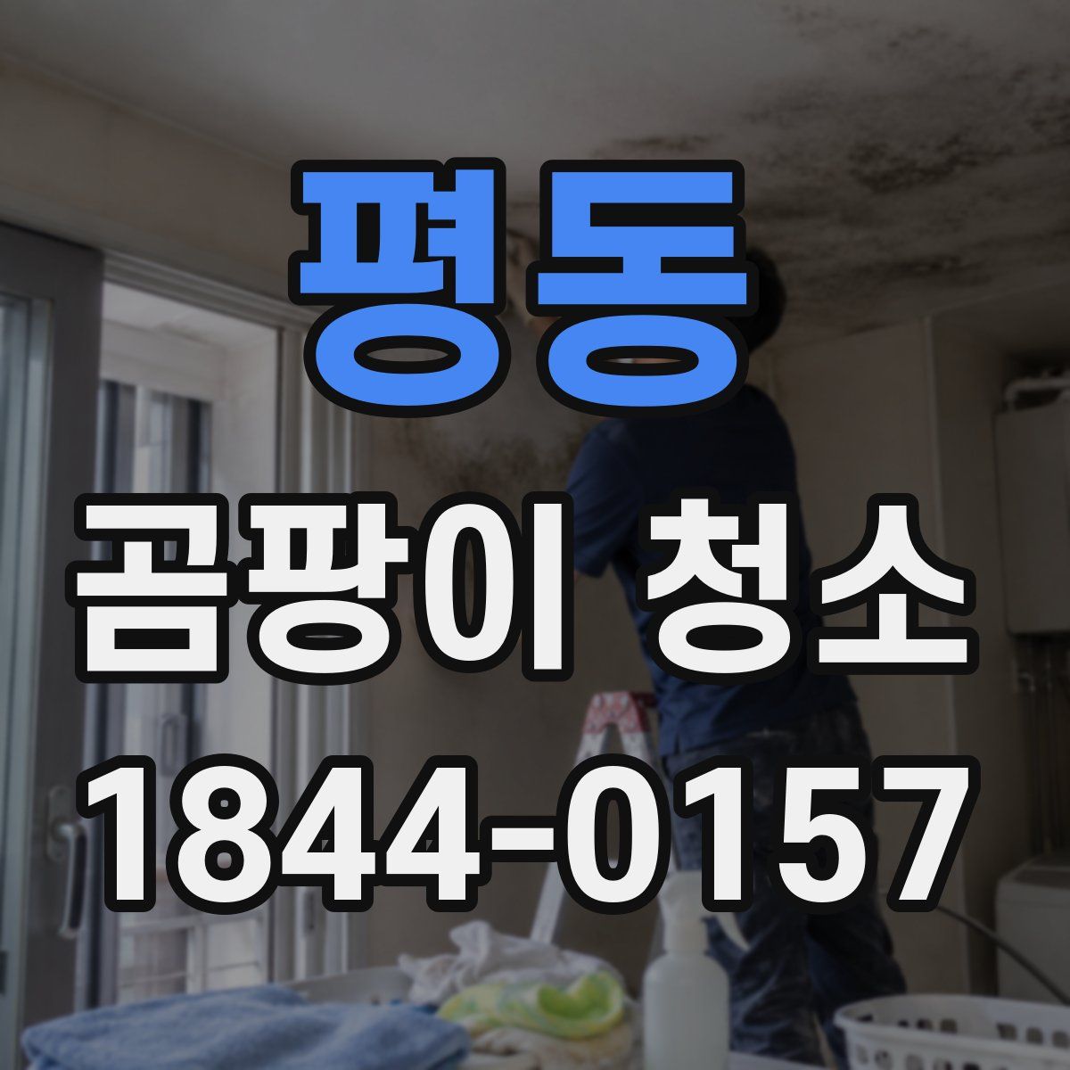 평동 곰팡이 청소