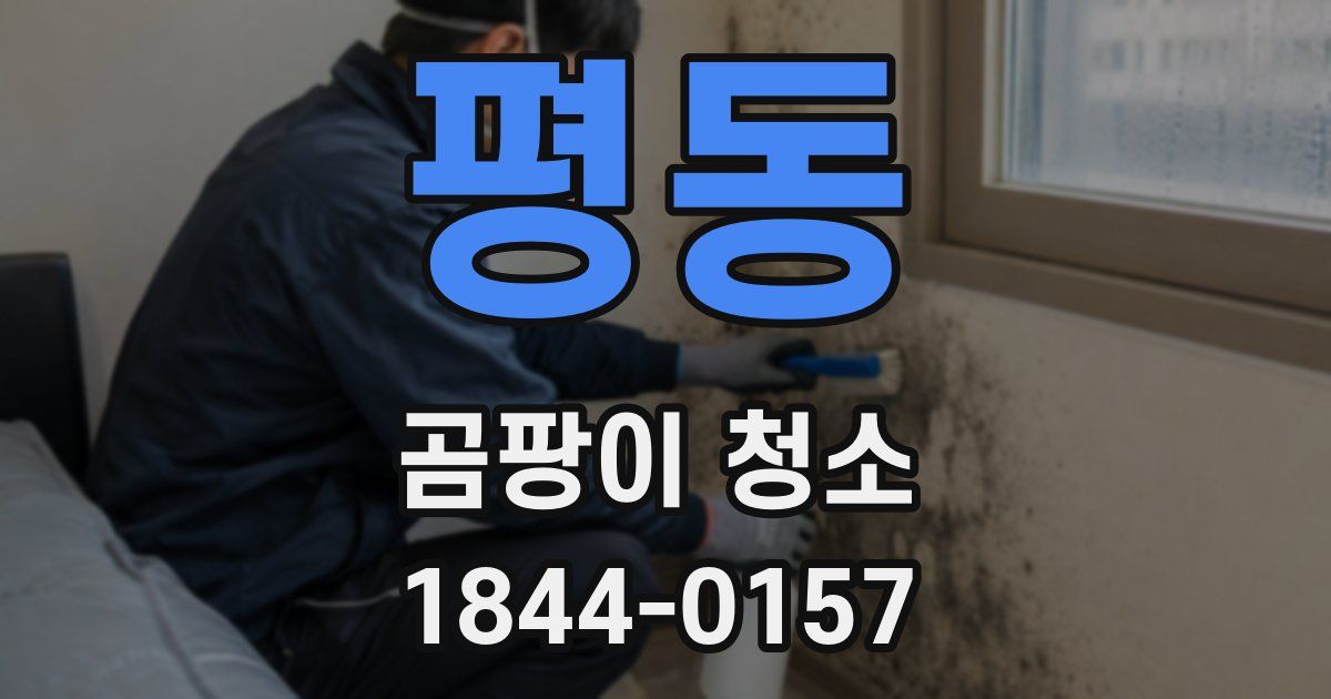 평동 곰팡이 청소