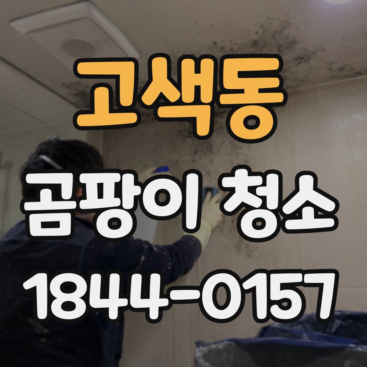 고색동 곰팡이 청소