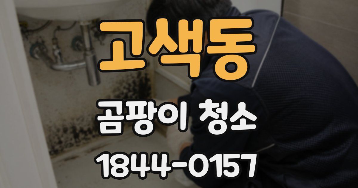 고색동 곰팡이 청소