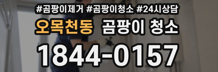 오목천동 곰팡이 청소