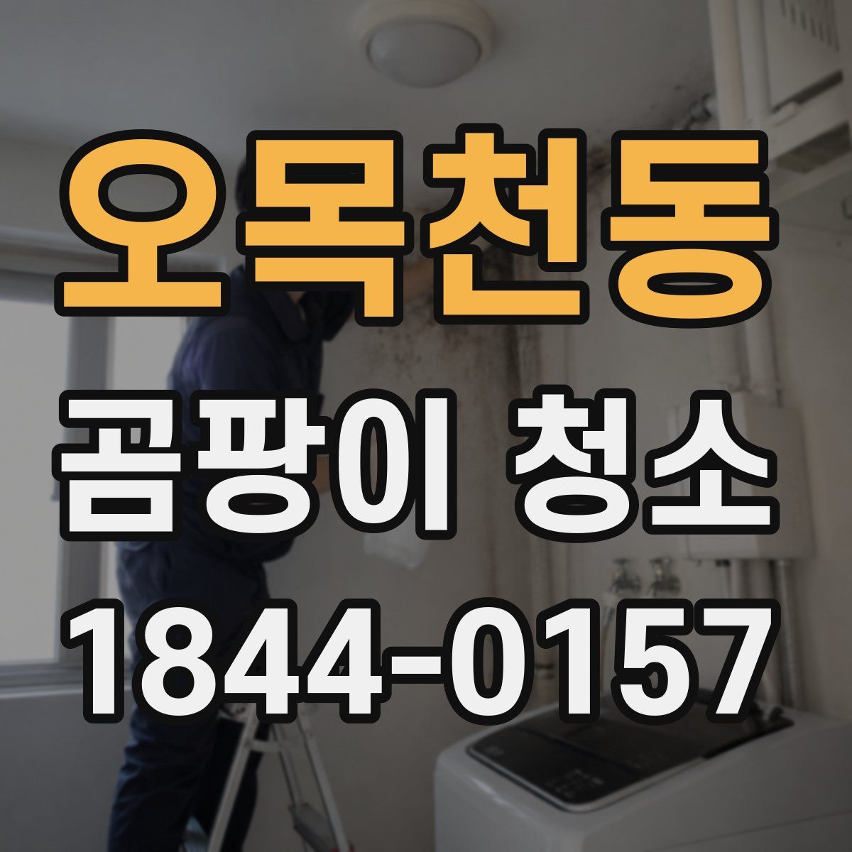 오목천동 곰팡이 청소