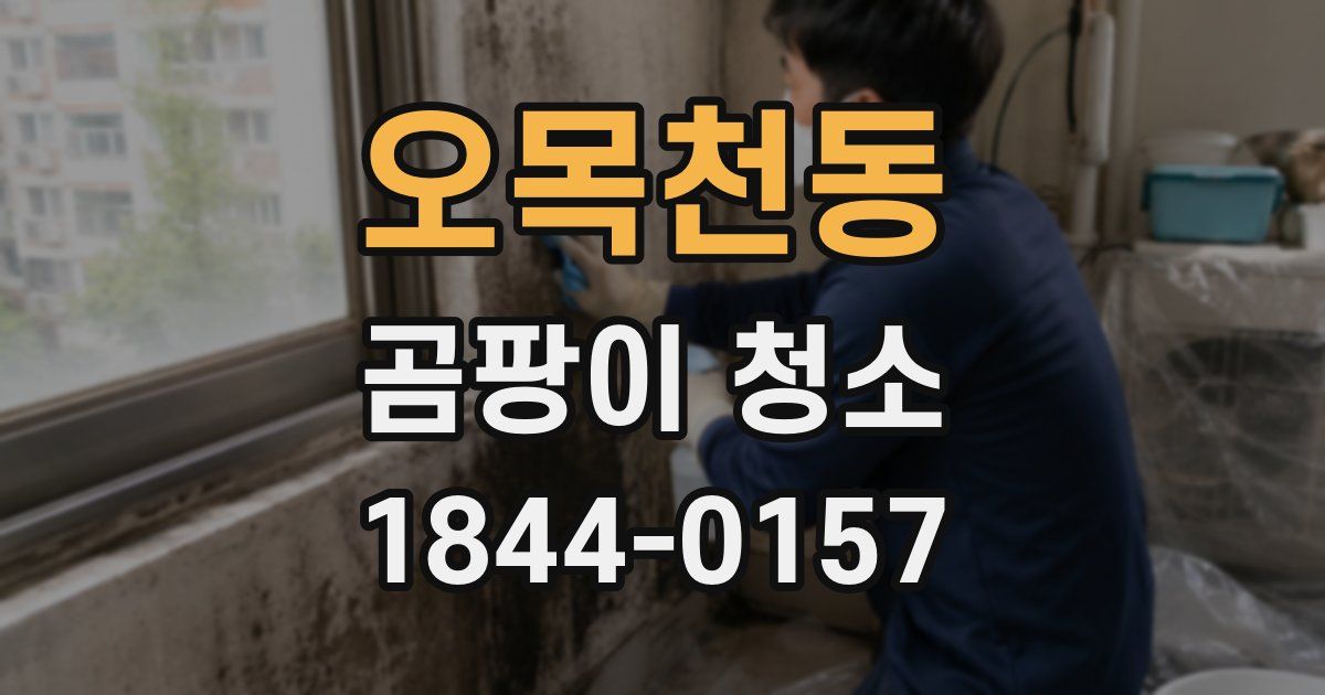 오목천동 곰팡이 청소