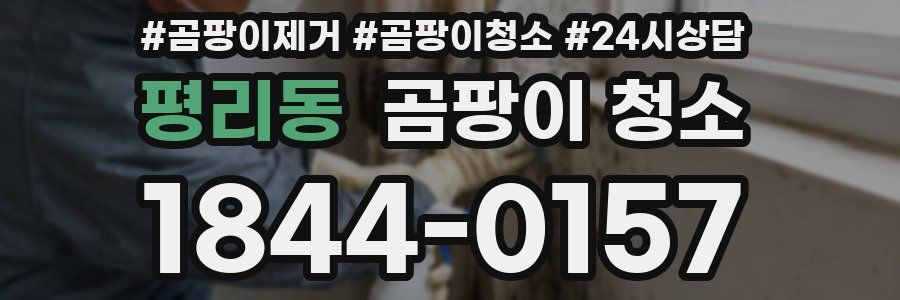 평리동 곰팡이 청소