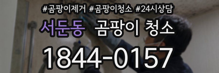 서둔동 곰팡이 청소