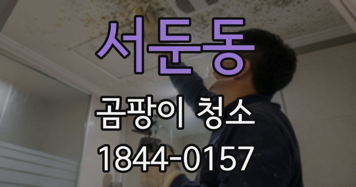 서둔동 곰팡이 청소