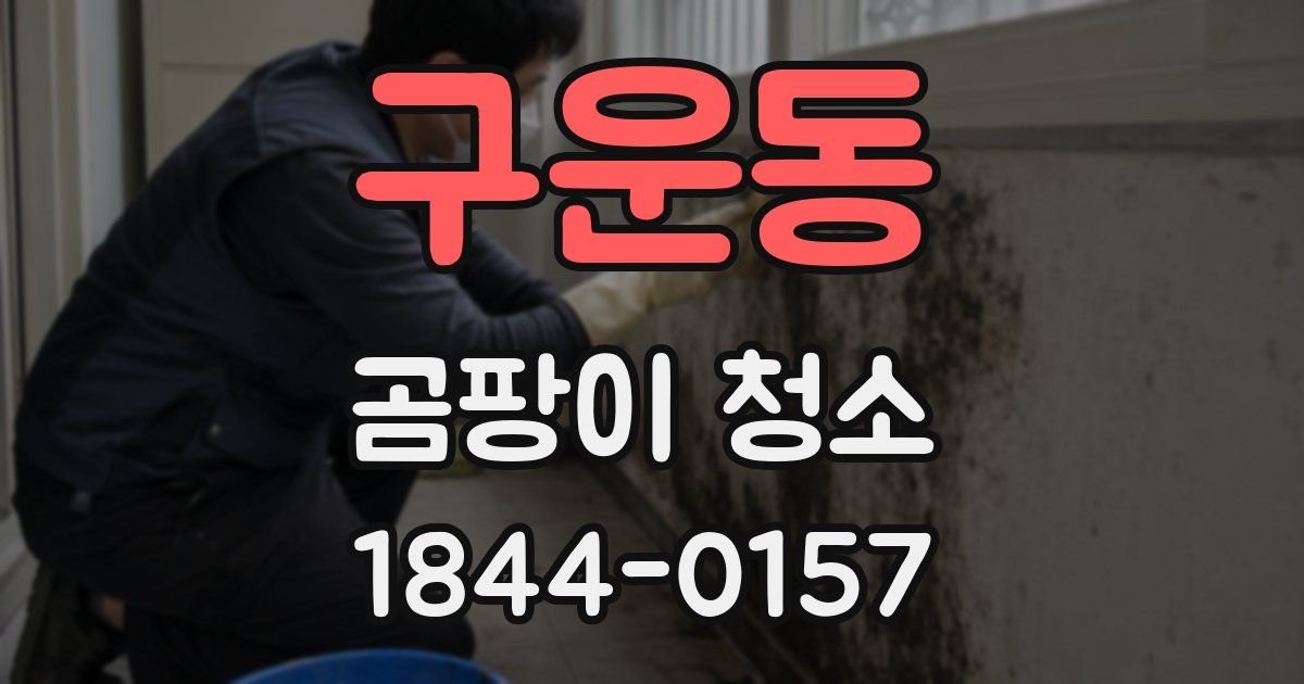 구운동 곰팡이 청소