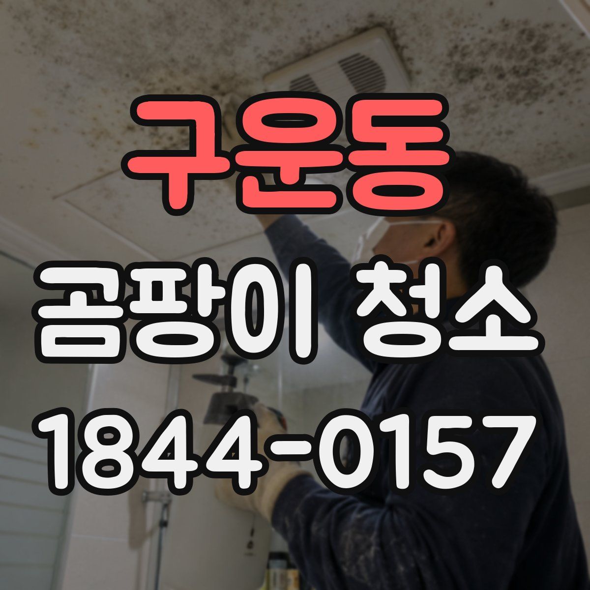 구운동 곰팡이 청소