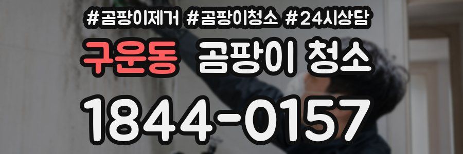 구운동 곰팡이 청소