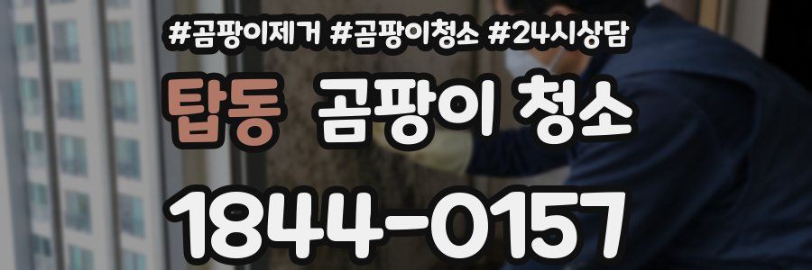 탑동 곰팡이 청소