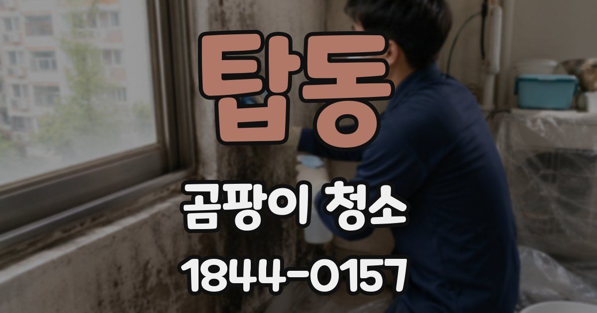 탑동 곰팡이 청소