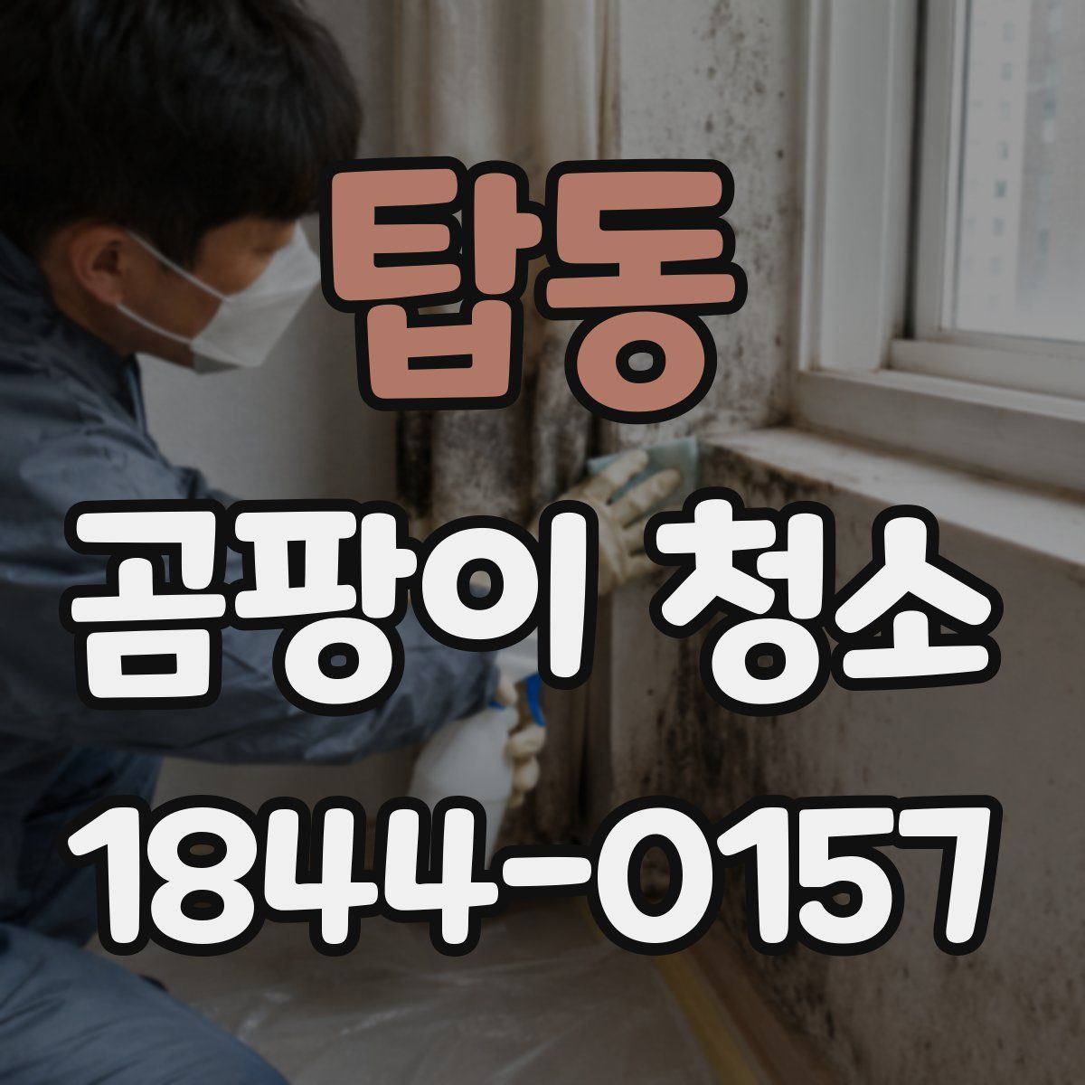 탑동 곰팡이 청소