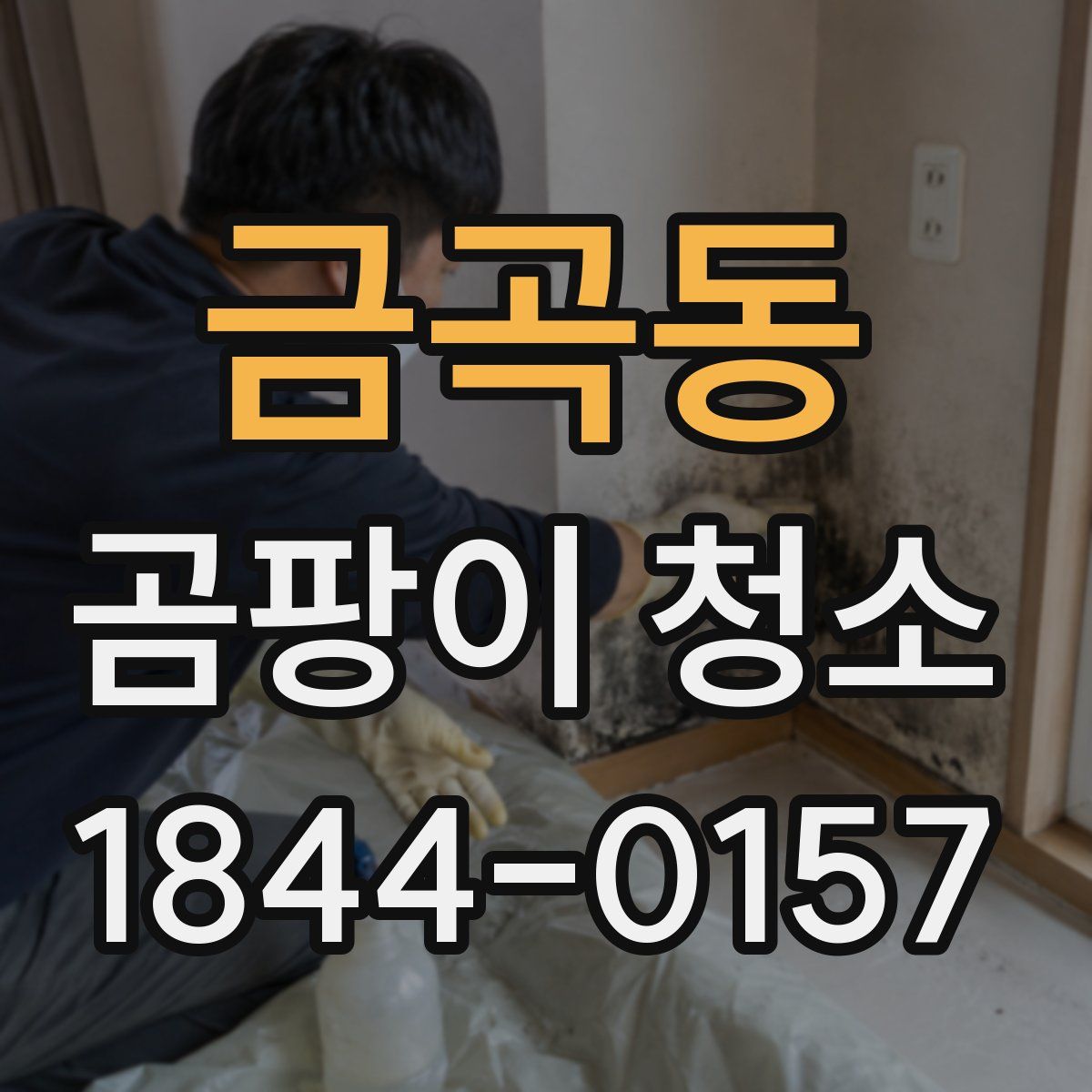 금곡동 곰팡이 청소