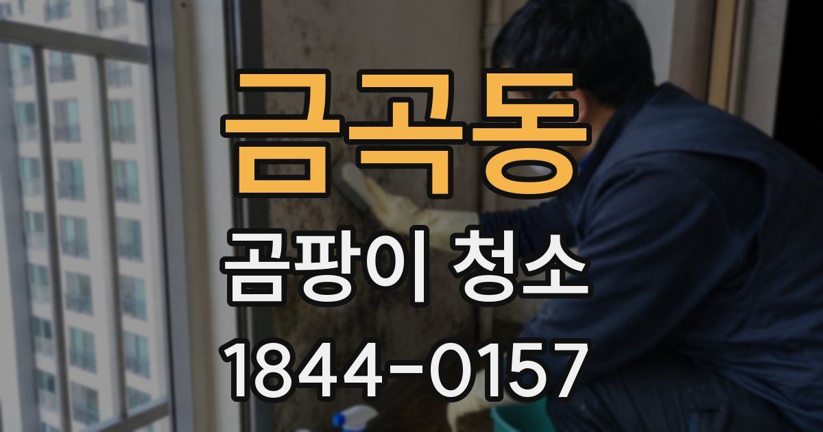 금곡동 곰팡이 청소