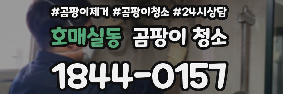 호매실동 곰팡이 청소
