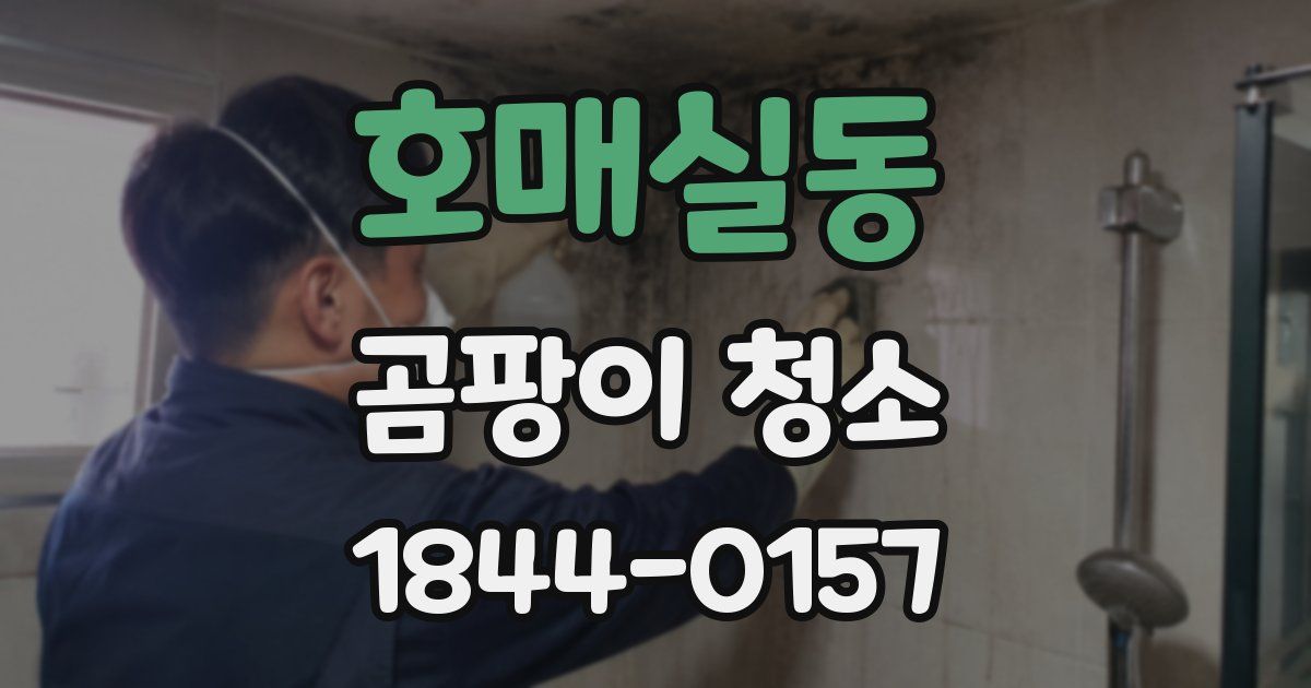호매실동 곰팡이 청소
