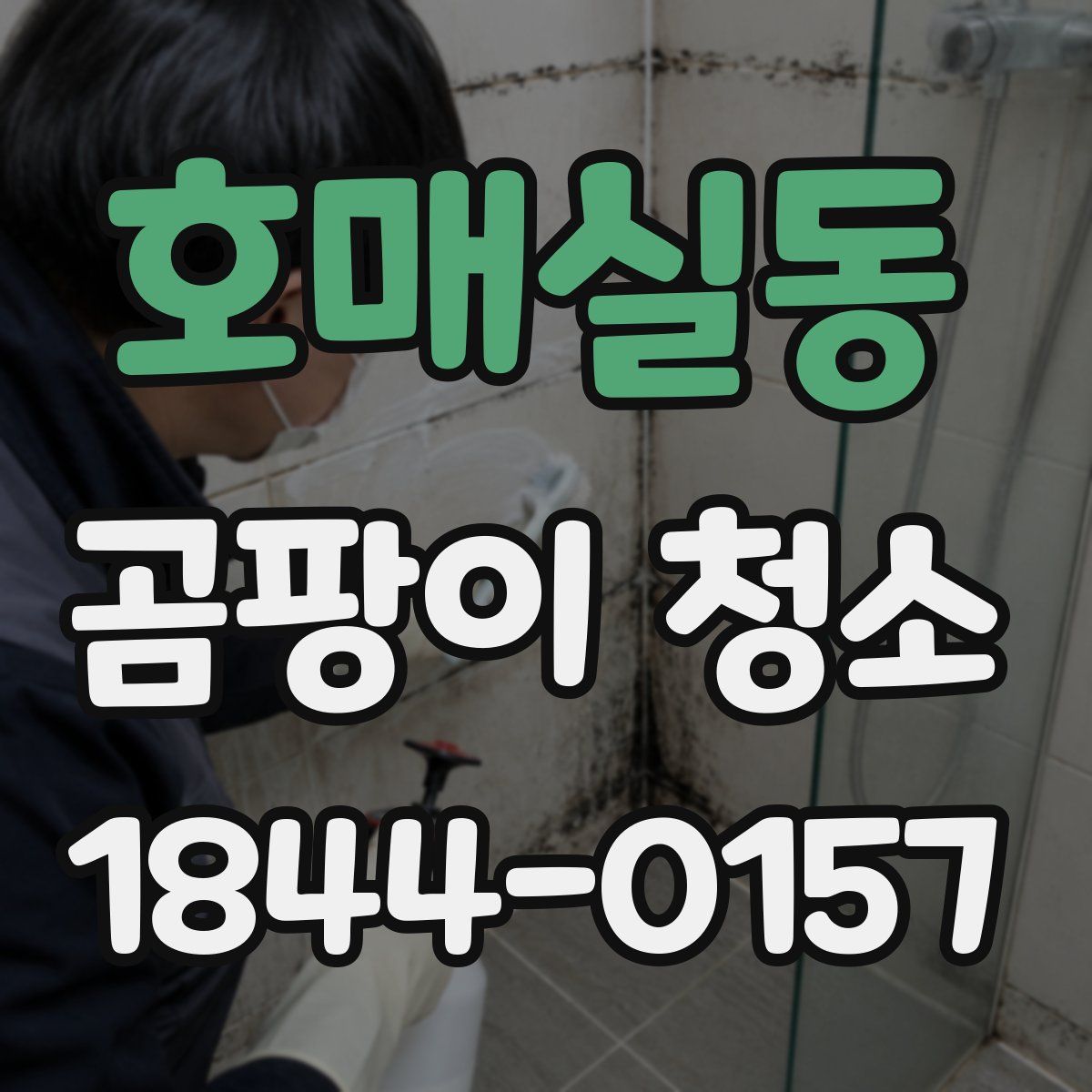 호매실동 곰팡이 청소
