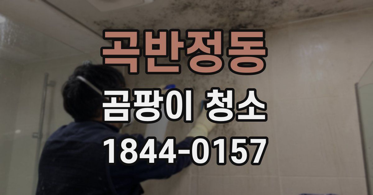 곡반정동 곰팡이 청소