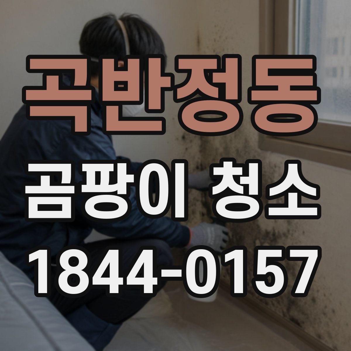 곡반정동 곰팡이 청소