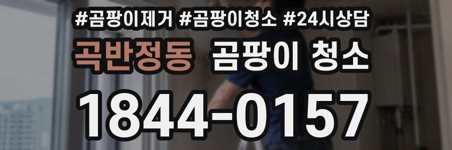 곡반정동 곰팡이 청소