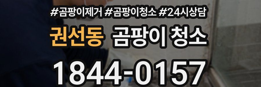 권선동 곰팡이 청소