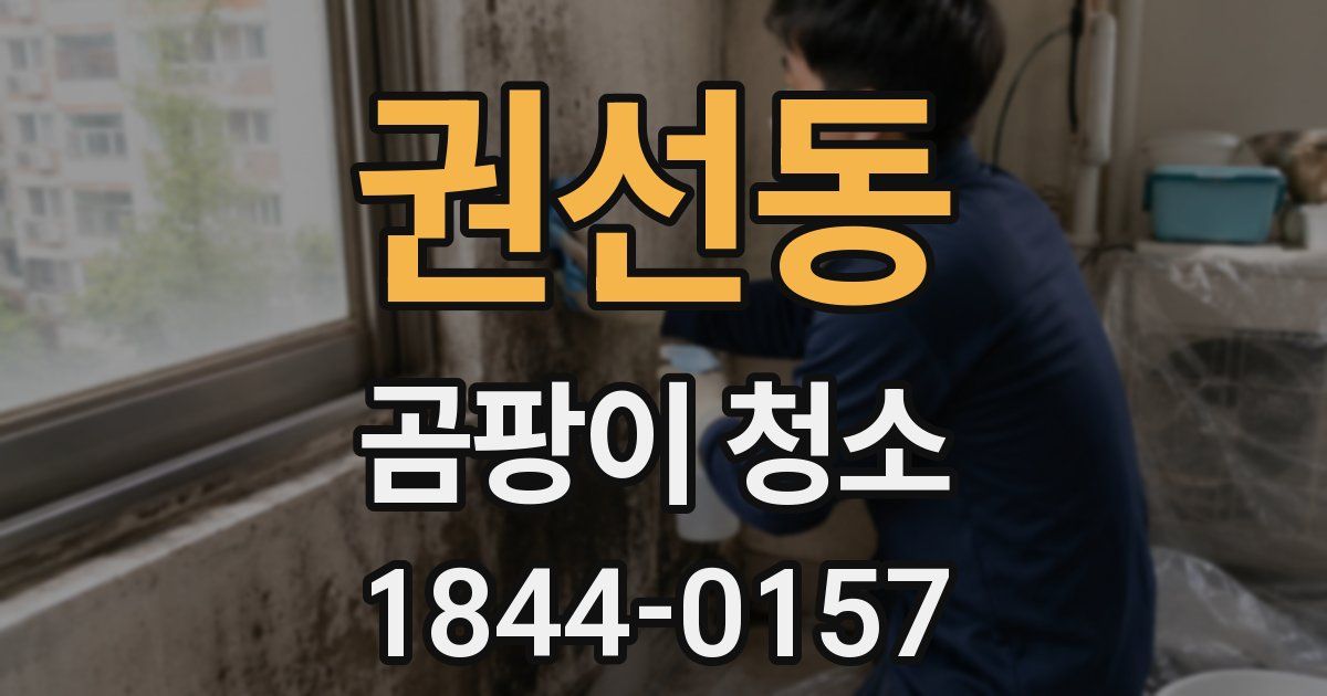 권선동 곰팡이 청소