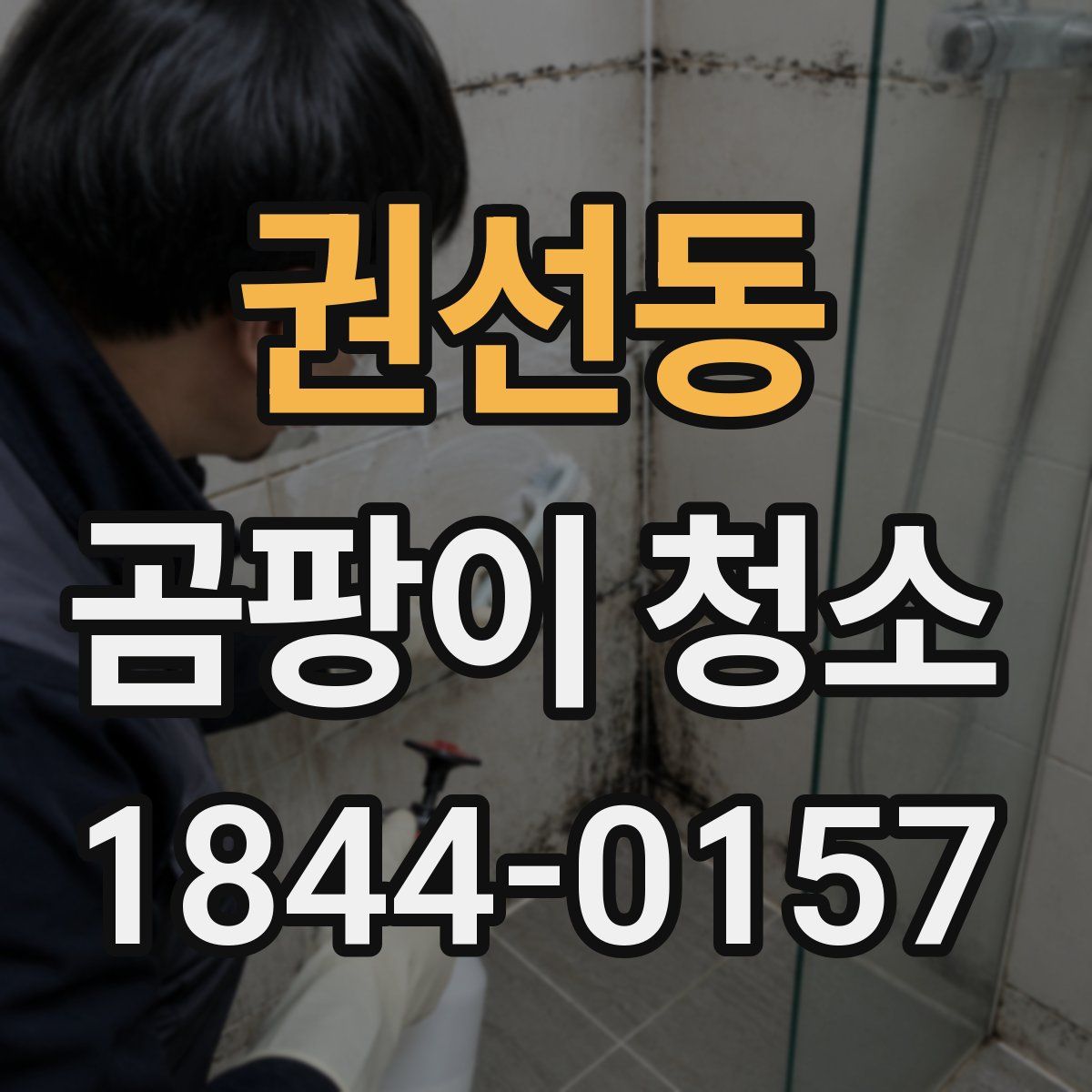 권선동 곰팡이 청소