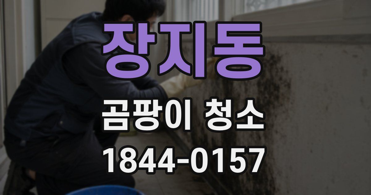 장지동 곰팡이 청소