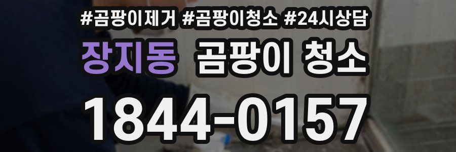 장지동 곰팡이 청소