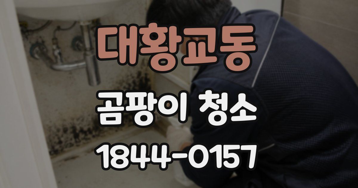 대황교동 곰팡이 청소
