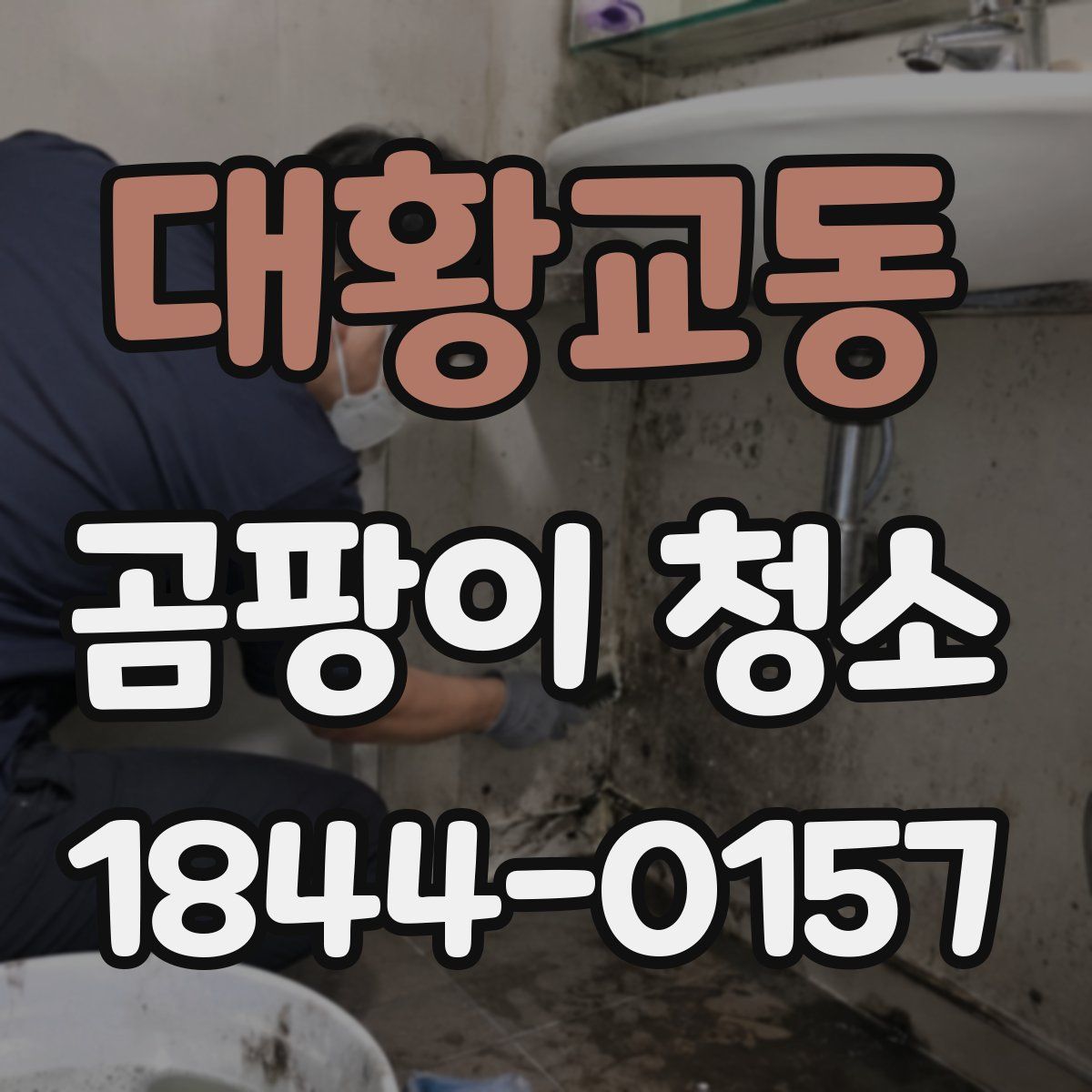 대황교동 곰팡이 청소