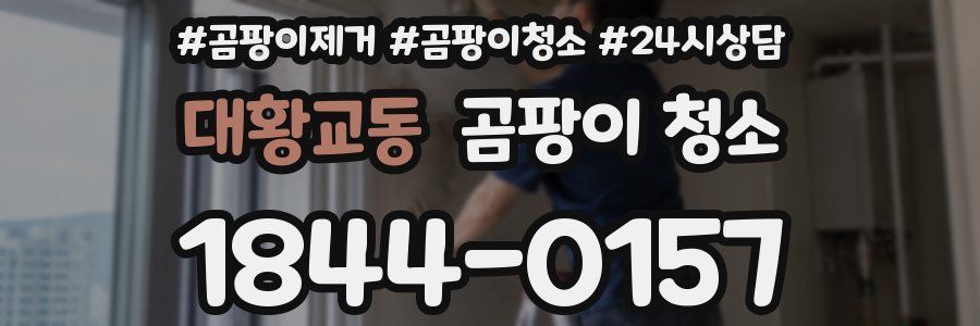 대황교동 곰팡이 청소