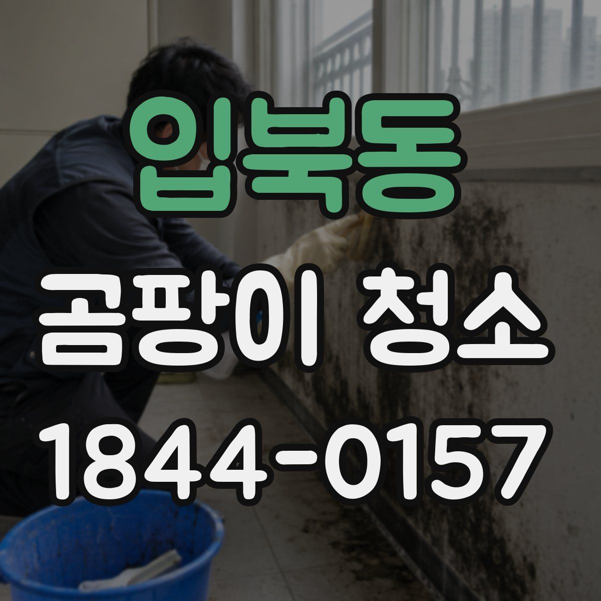 입북동 곰팡이 청소