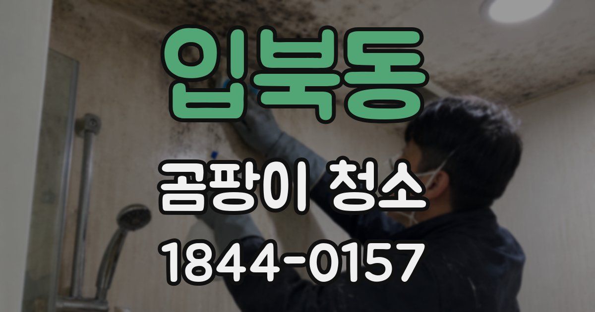 입북동 곰팡이 청소
