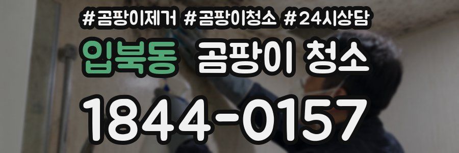 입북동 곰팡이 청소