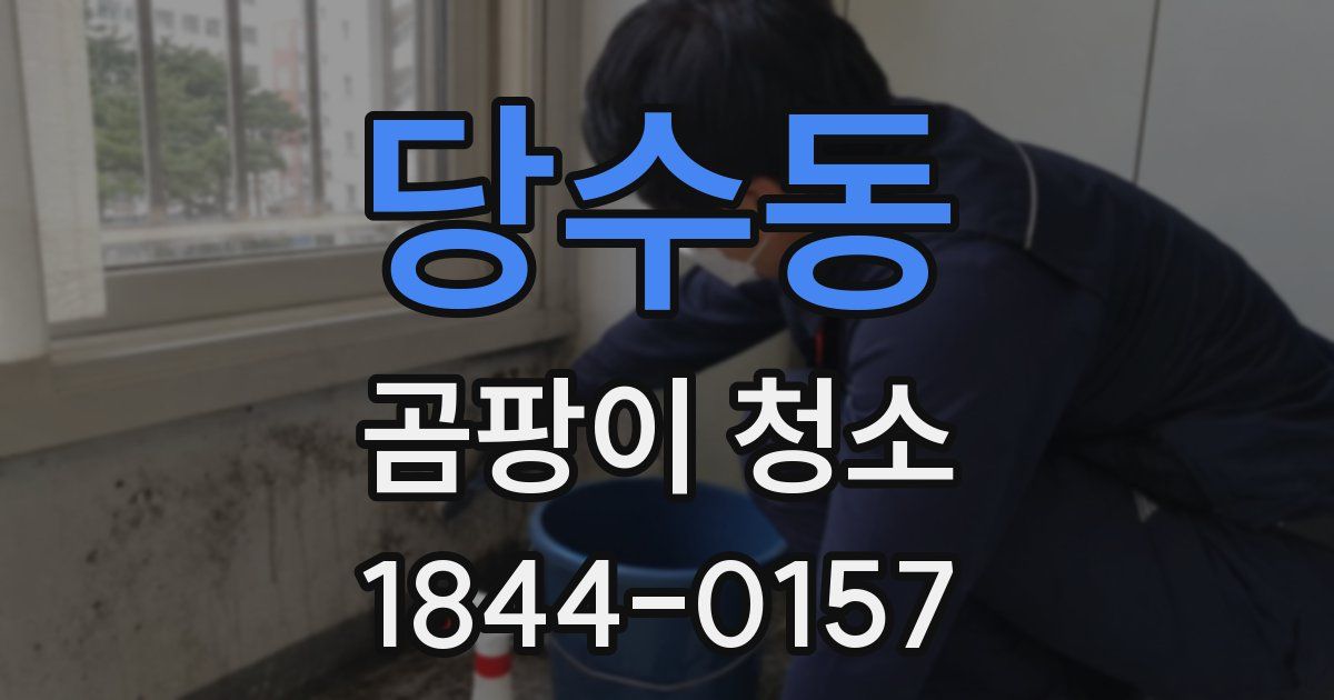 당수동 곰팡이 청소