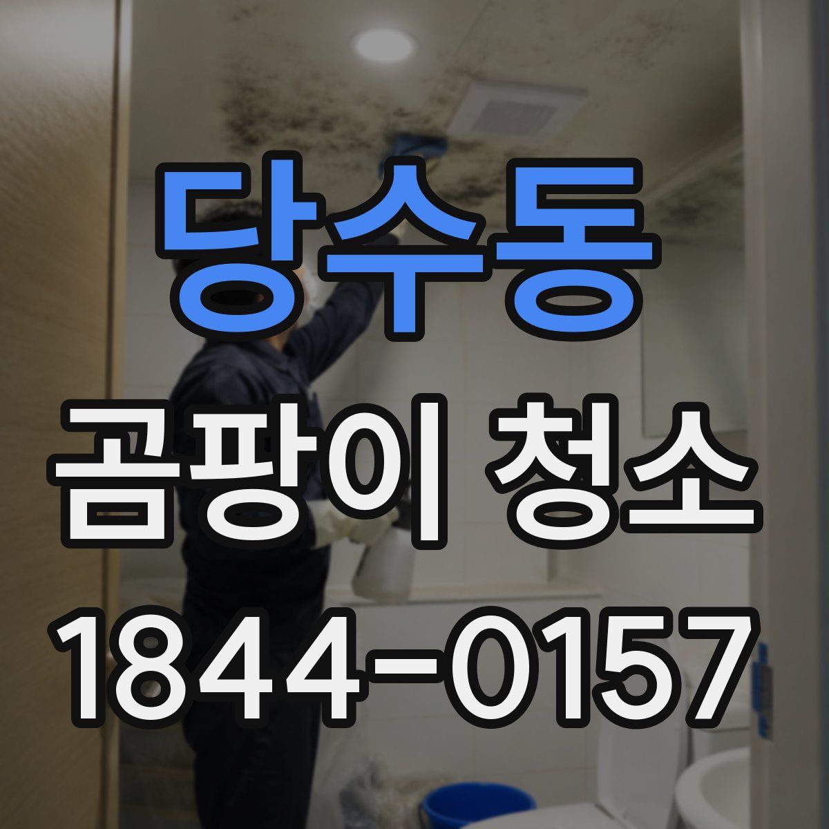 당수동 곰팡이 청소