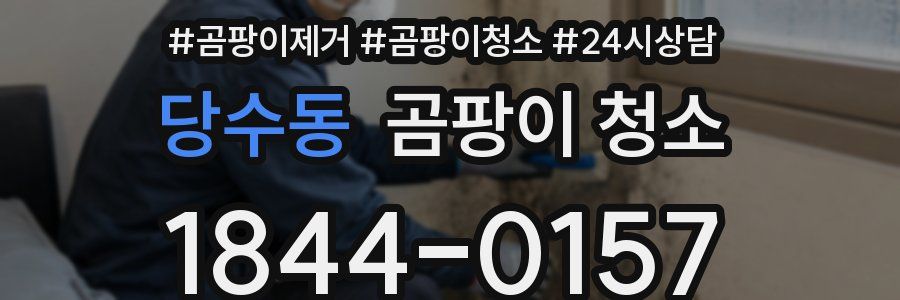 당수동 곰팡이 청소