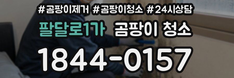 팔달로1가 곰팡이 청소