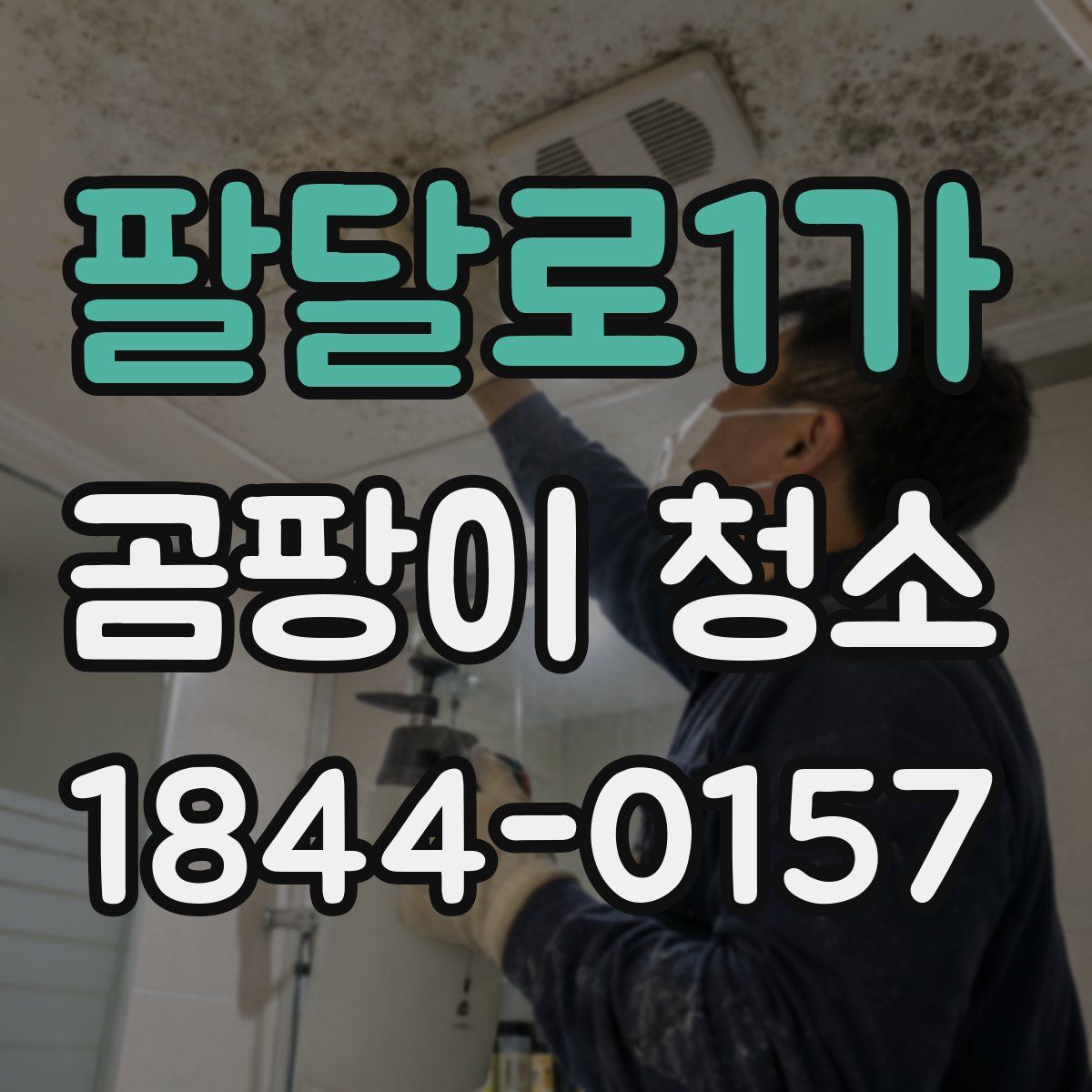 팔달로1가 곰팡이 청소