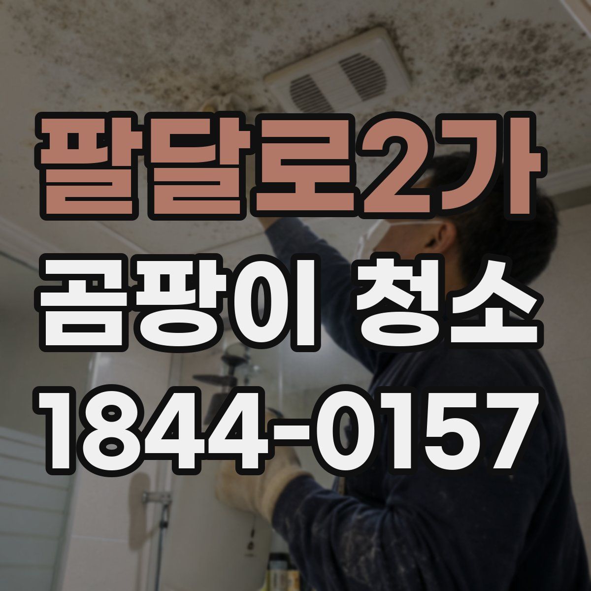 팔달로2가 곰팡이 청소