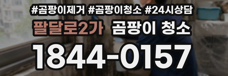 팔달로2가 곰팡이 청소