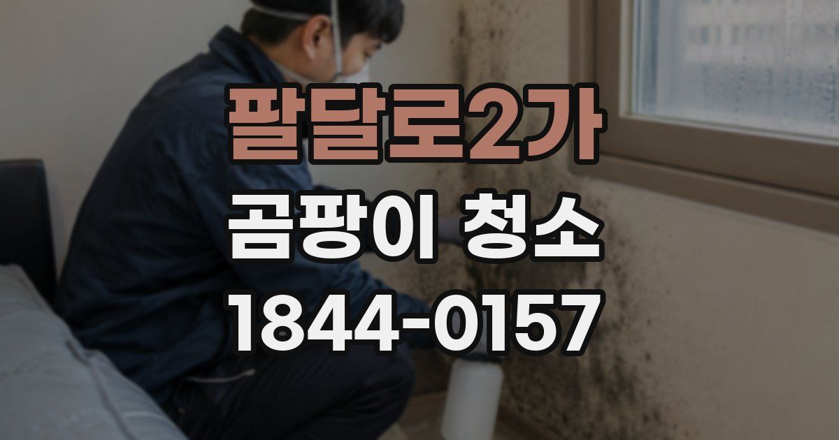 팔달로2가 곰팡이 청소