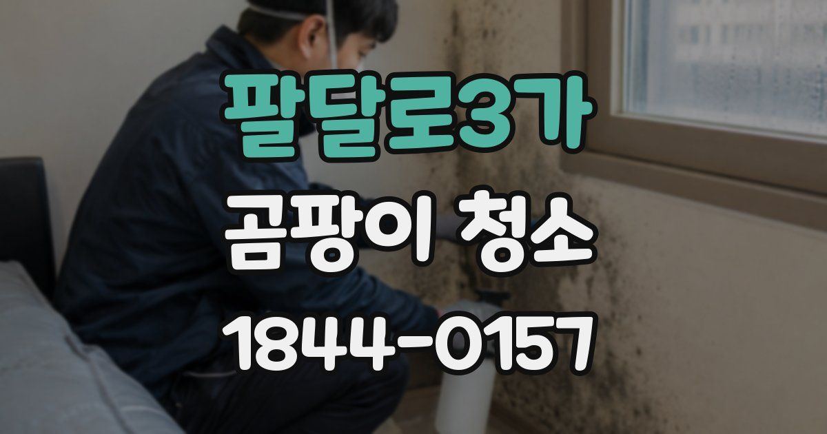 팔달로3가 곰팡이 청소