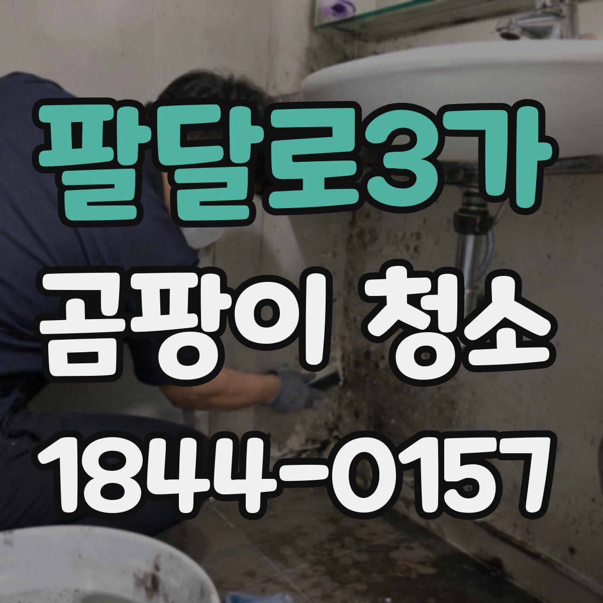 팔달로3가 곰팡이 청소