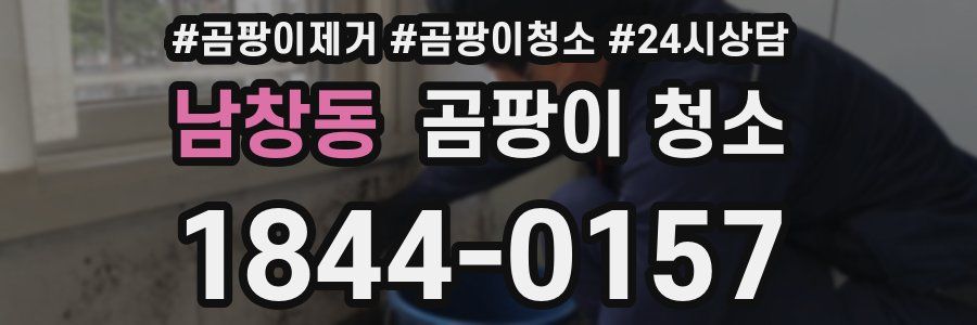 남창동 곰팡이 청소