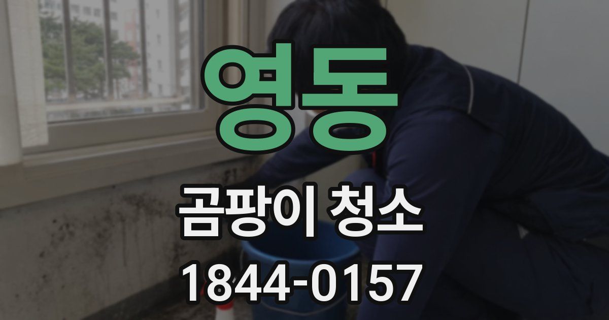 영동 곰팡이 청소