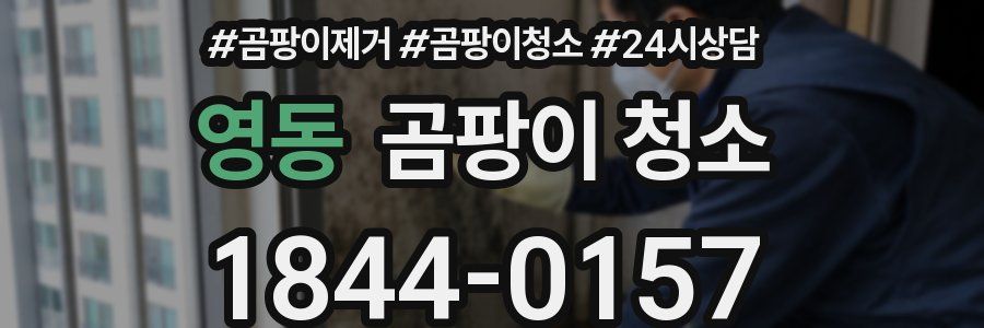 영동 곰팡이 청소