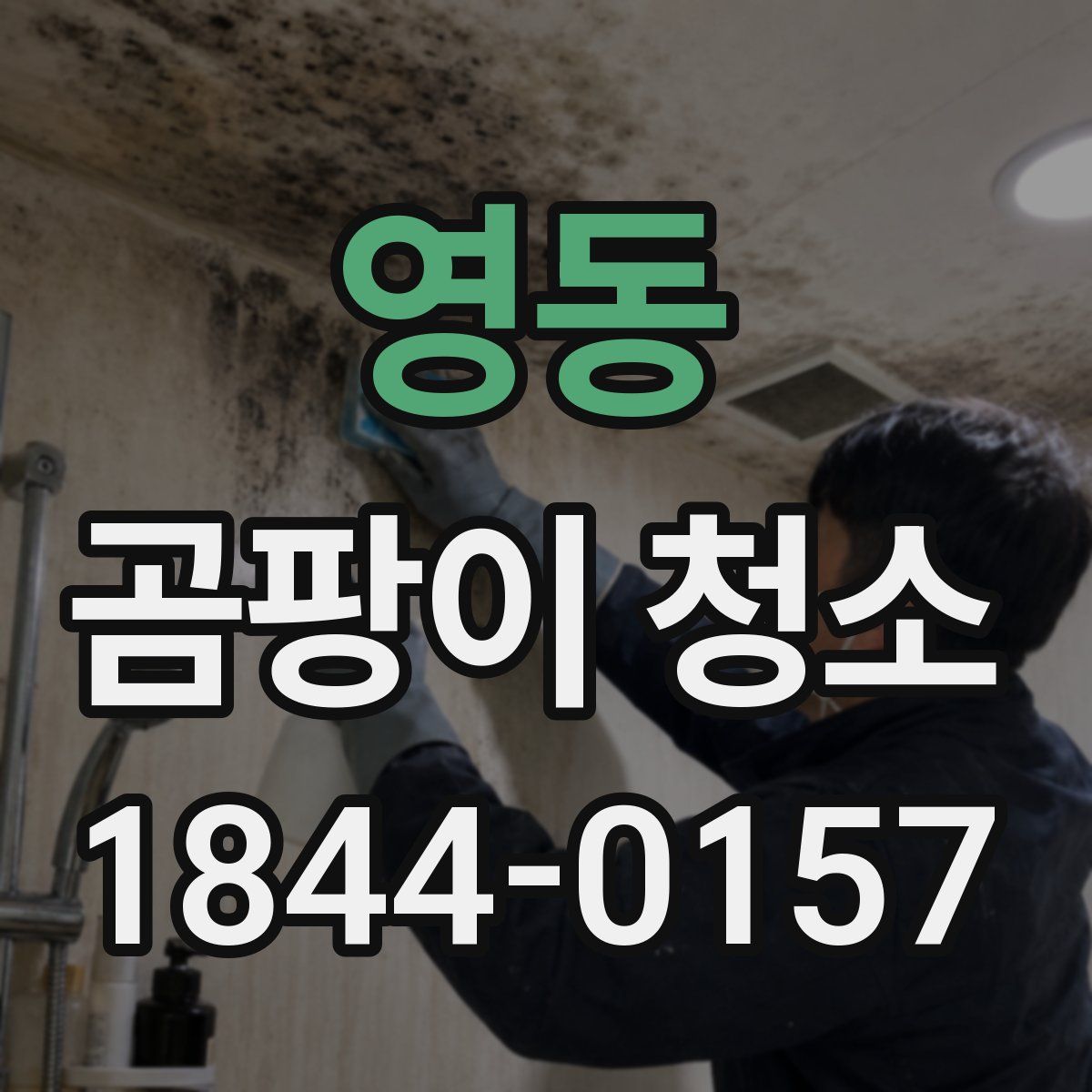 영동 곰팡이 청소