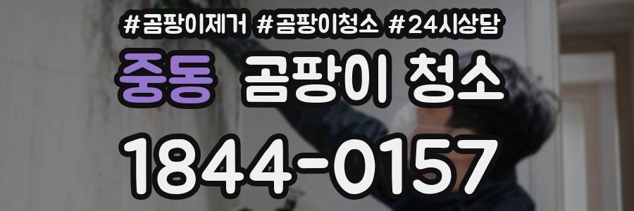중동 곰팡이 청소